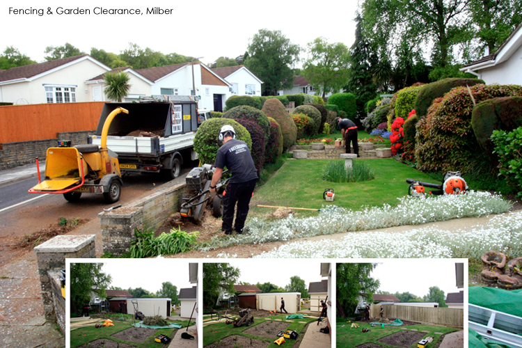 Garden-clearance,-devon-tree-surgeon