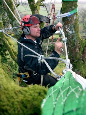 devon-&-south-west-tree-surgeon-and-landscaping-cable-brace