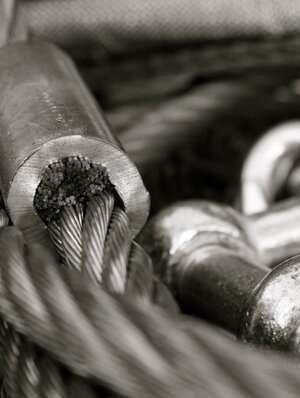 devon-&-south-west-tree-surgeon-and-landscaping-cable-bracing