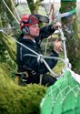 devon-&-south-west-tree-surgeon-landscaping-cable-brace-thmb