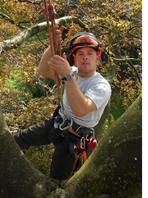 devon-&-south-west-tree-surgeon-newton-abbot-tree-survey