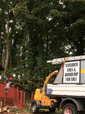 devon-&-south-west-tree-surgeon-torquay-surgery