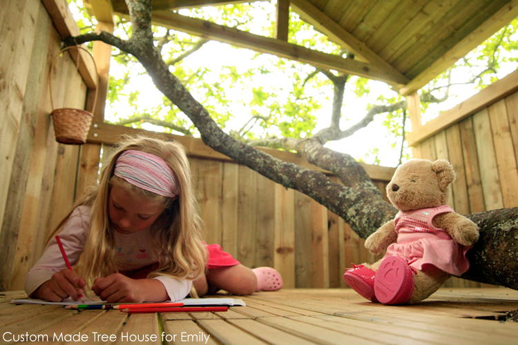 devon-tree-houses-&-tree-surgery1