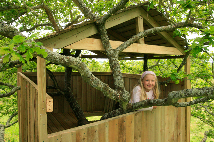 devon-tree-houses-&-tree-surgery2